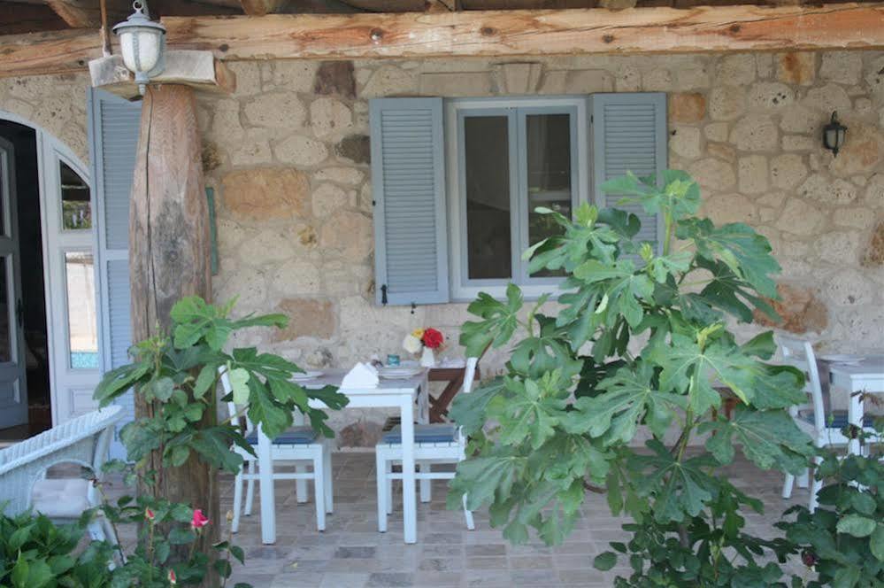 Moy Hotel Αλακάτι Εξωτερικό φωτογραφία