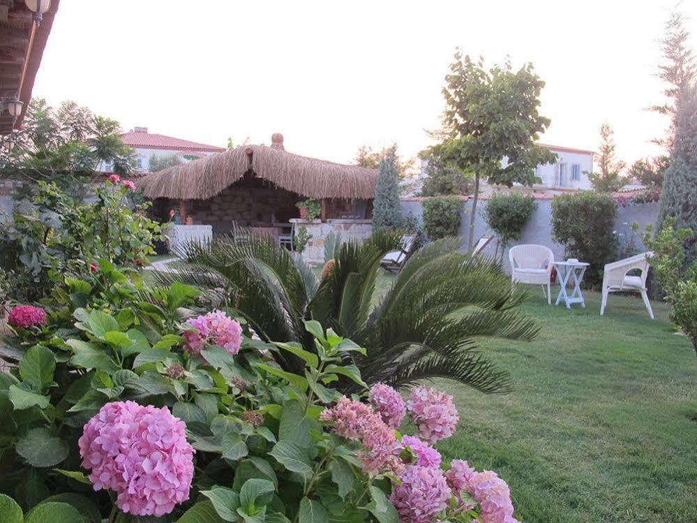 Moy Hotel Αλακάτι Εξωτερικό φωτογραφία